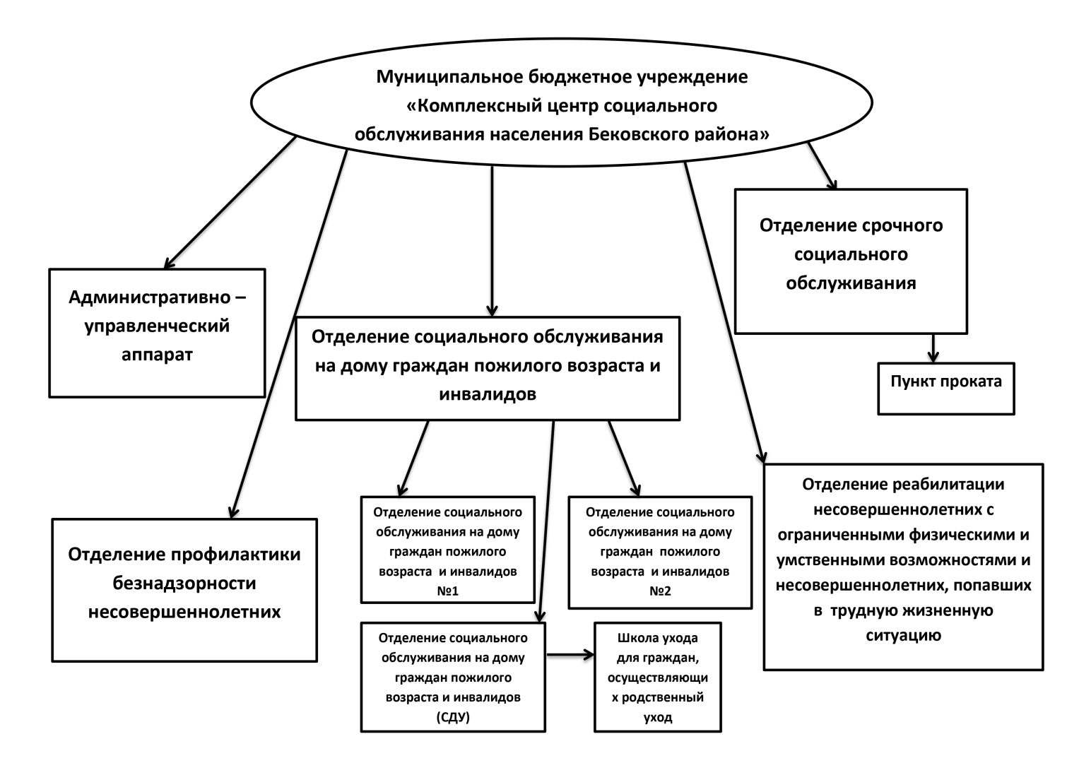Структура организации